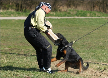 Training in Prague - 2. 4. 2008